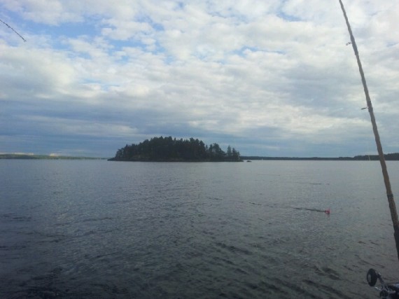 Nässy kuhastus 1 elokuu -14 Nässy kuhastus 1 elokuu -14