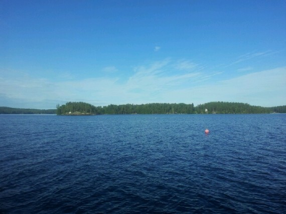 Nässy kuhastus 6 elokuu -14 Nässy kuhastus 6 elokuu -14