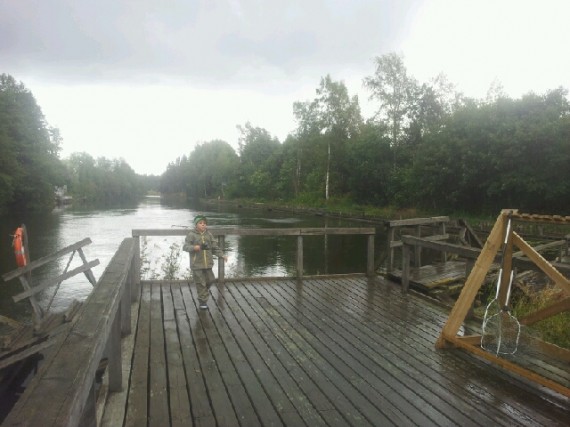 Kotka 7 Kotka 7